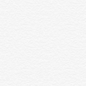 Meet your Posher, Shaniya